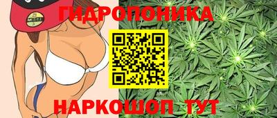 дмт Заводоуковск