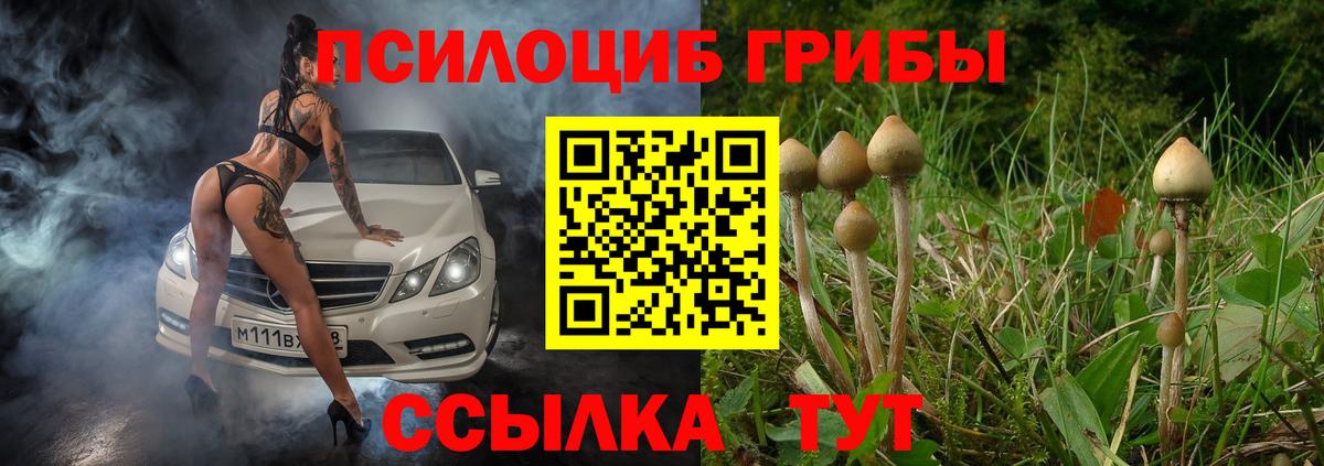 Галлюциногенные грибы мухоморы Кунгур