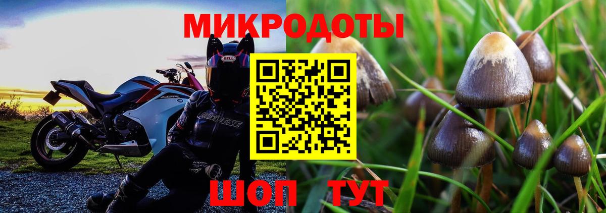Псилоцибиновые грибы Magic Shrooms  Вход с VPN  Кунгур  Псилоцибиновые грибы ЛСД 